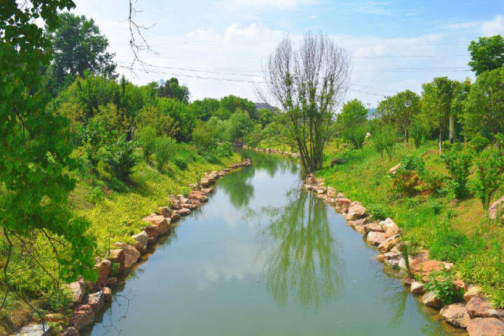 白谷洞村河道治理后水質(zhì)清澈（余琴 攝）