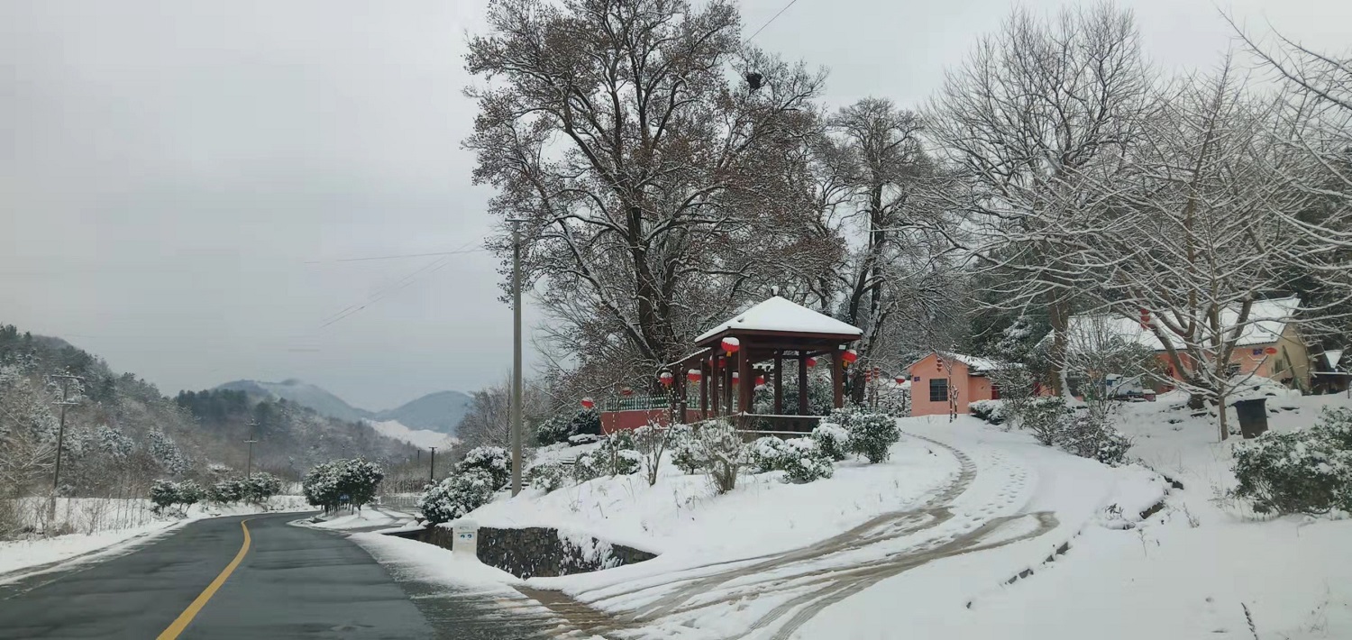 楊集鎮(zhèn)三口堰村對節(jié)王雪景,，攝影：胡勇1